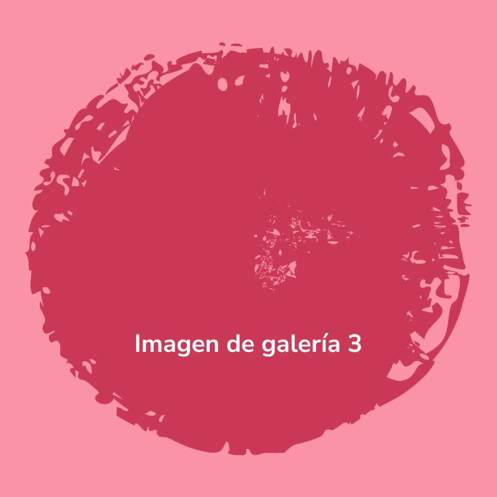 Galería 3